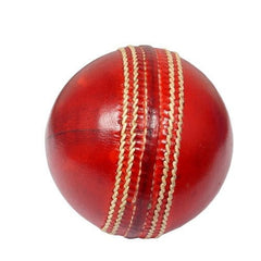 Cricket Practice Ball - NZ Cricket Store