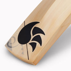 DSC BLAK Pro English Willow Bat - NZ Cricket Store