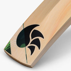 DSC Spliit 6.0 English Willow Bat - NZ Cricket Store