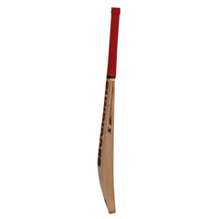 SS Vintage 2.0 English Willow Cricket Bat - NZ Cricket Store